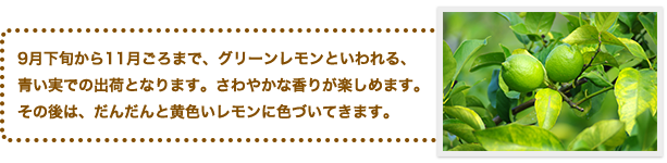 平岡農園グリーンレモンの説明