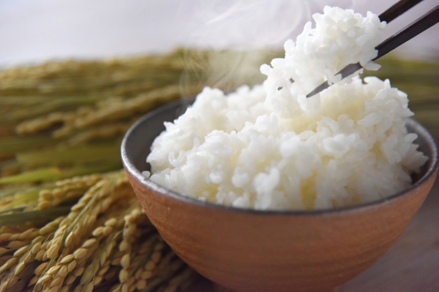 米ご飯ごはんイメージ
