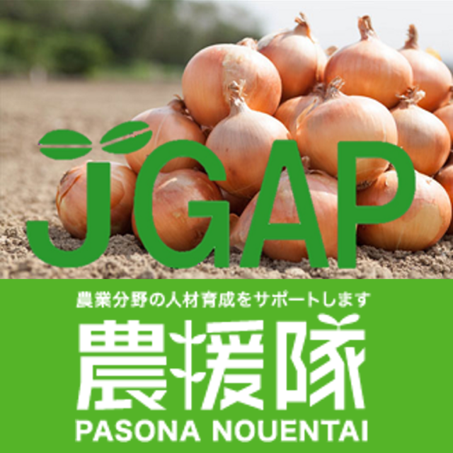 安全・安心のパソナ農援隊 JGAP認証新玉ねぎ　5kg～
