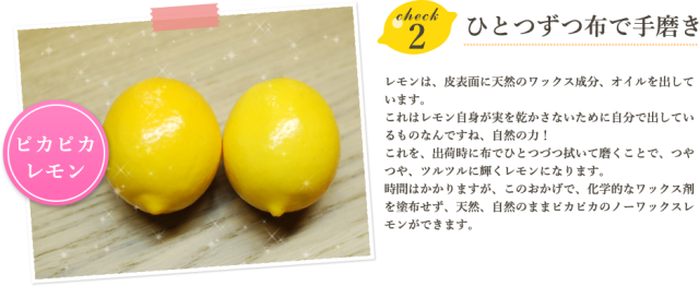 平岡農園レモンのこだわり02