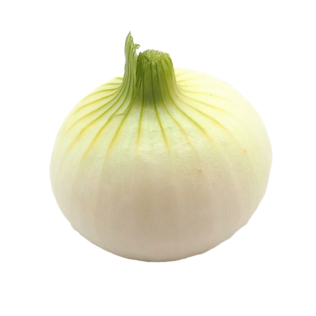 新玉ねぎ
