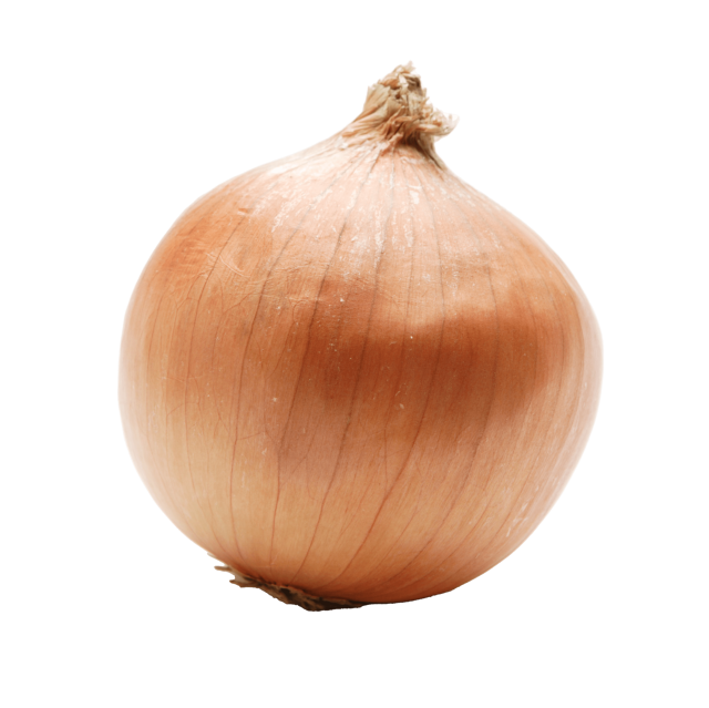 玉ねぎ