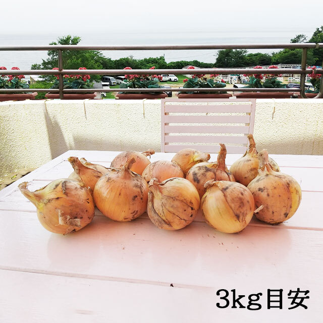 玉ねぎ3kg