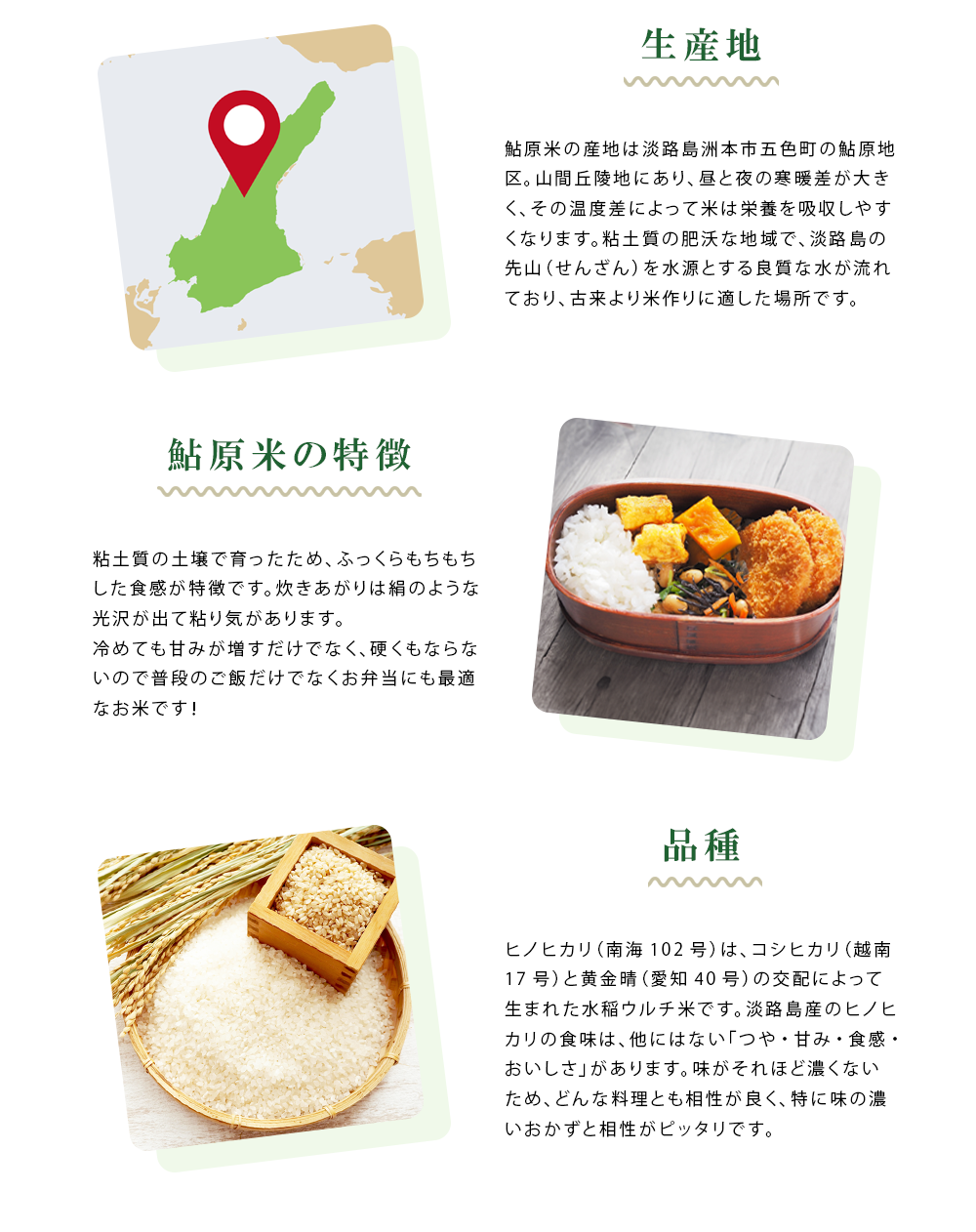 新米早割予約ヒノヒカリ紹介