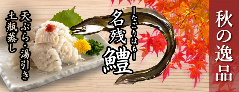 名残ハモ説明トップ