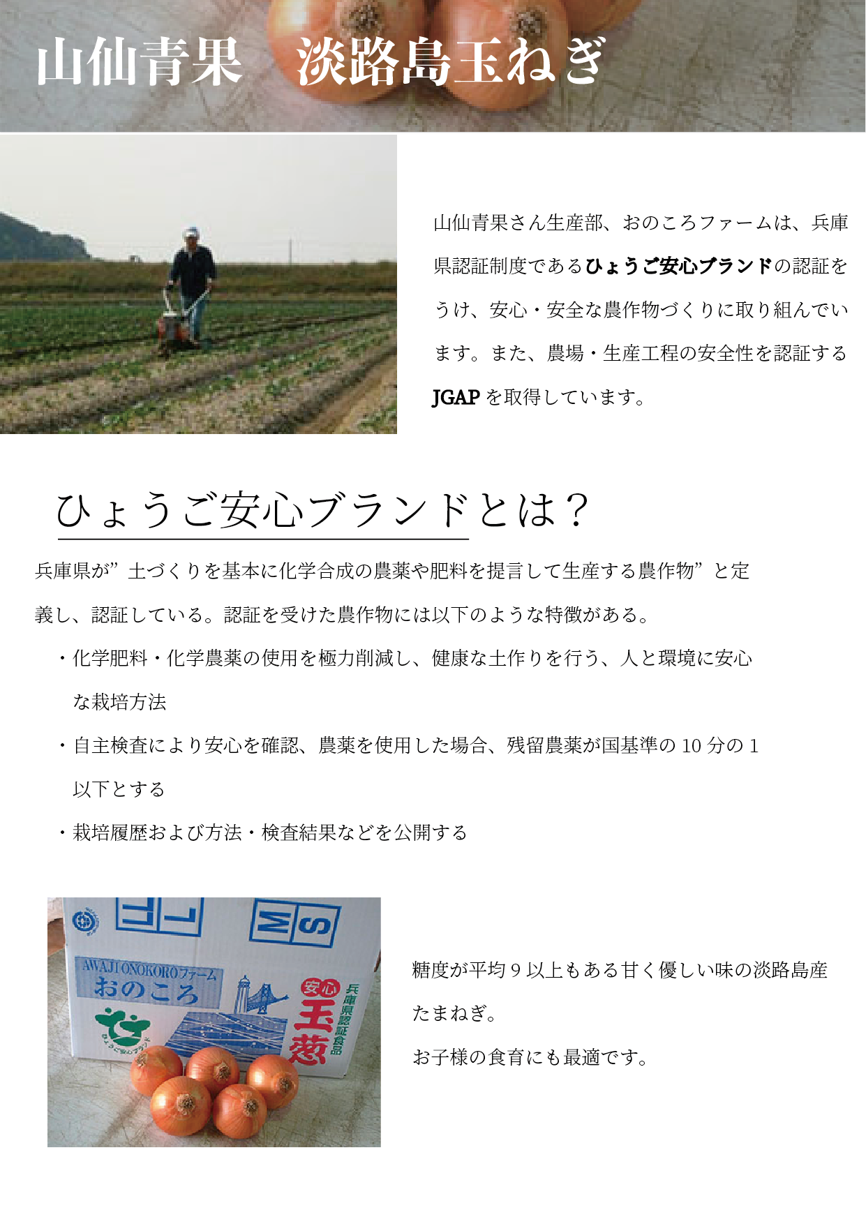安心と信頼 8kg 淡路島 quot; 玉ねぎ工房 フルーツ玉ねぎ 完熟 善太 玉ねぎ
