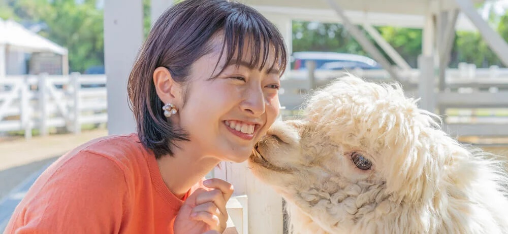 チューするアルパカ「ラウル君」