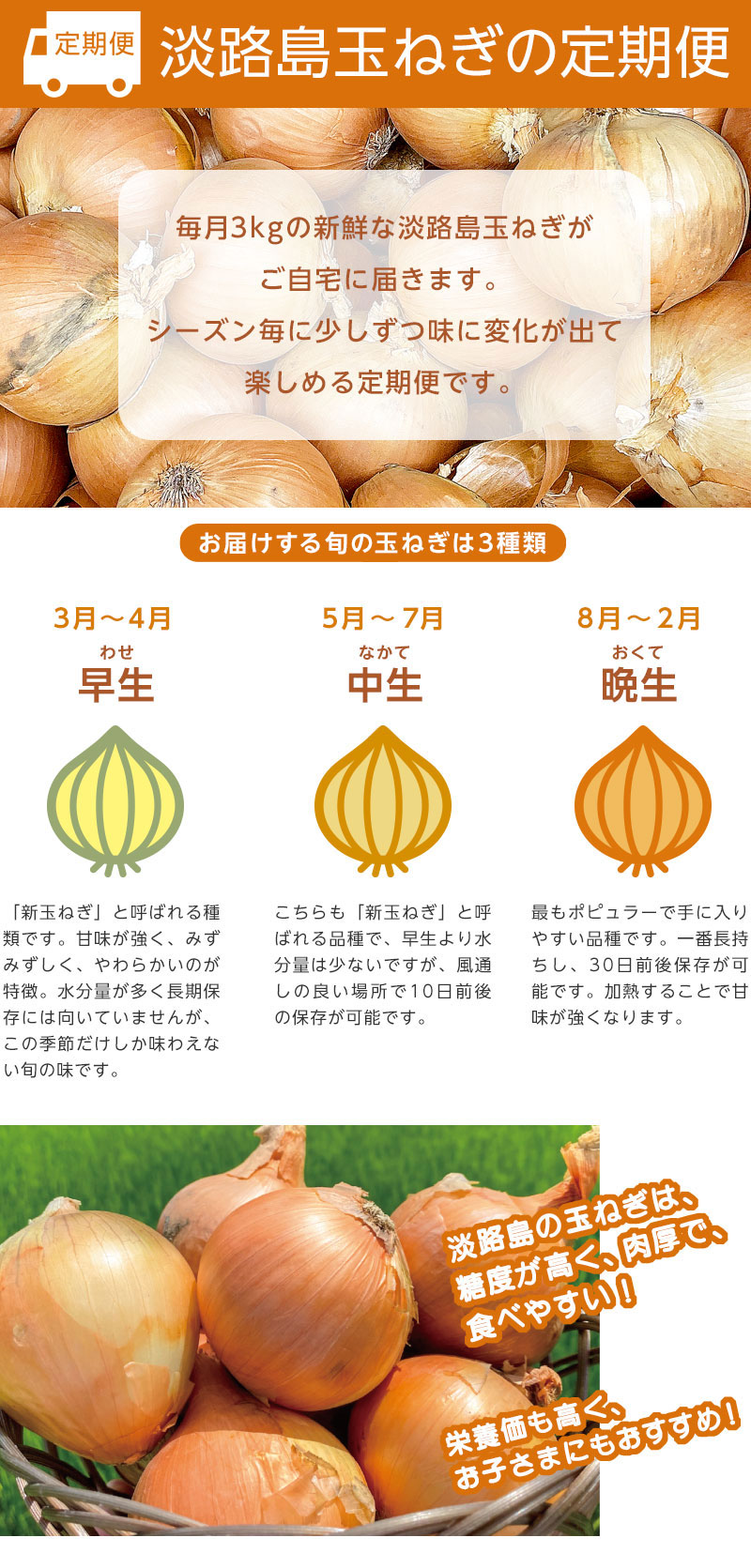 たまねぎ定期便説明１