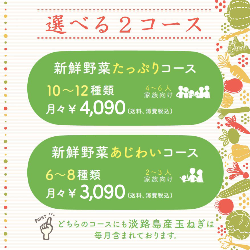 野菜定期便価格2024年11月改正